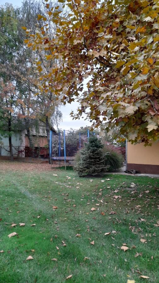 Szahara Vendeghaz Apartment Kerekegyháza Екстериор снимка